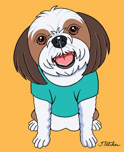 Shih Tzu Brown