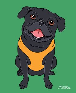 Pug Black