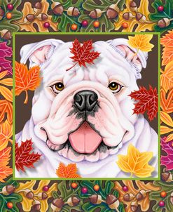 Autumn Bulldog