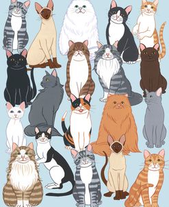 Cat Pattern 1