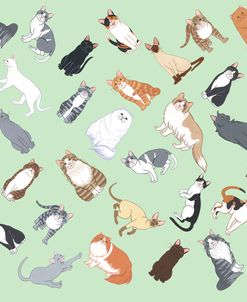 Cat Pattern 2