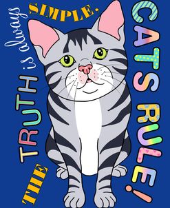 Tabby Cat Graphic Style