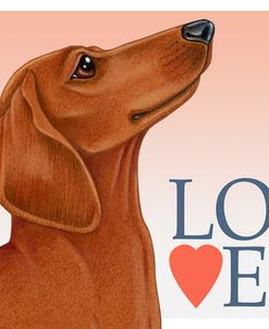 Dachshund Love