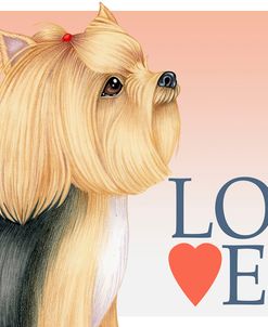 Yorkshire Terrier Love