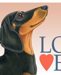 Dachshund Black Tan Love