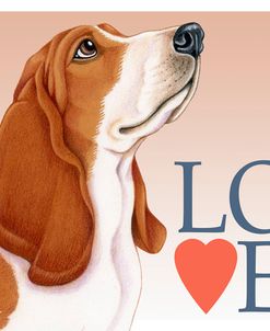 Basset Hound Love