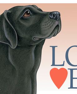 Black Labrador Love