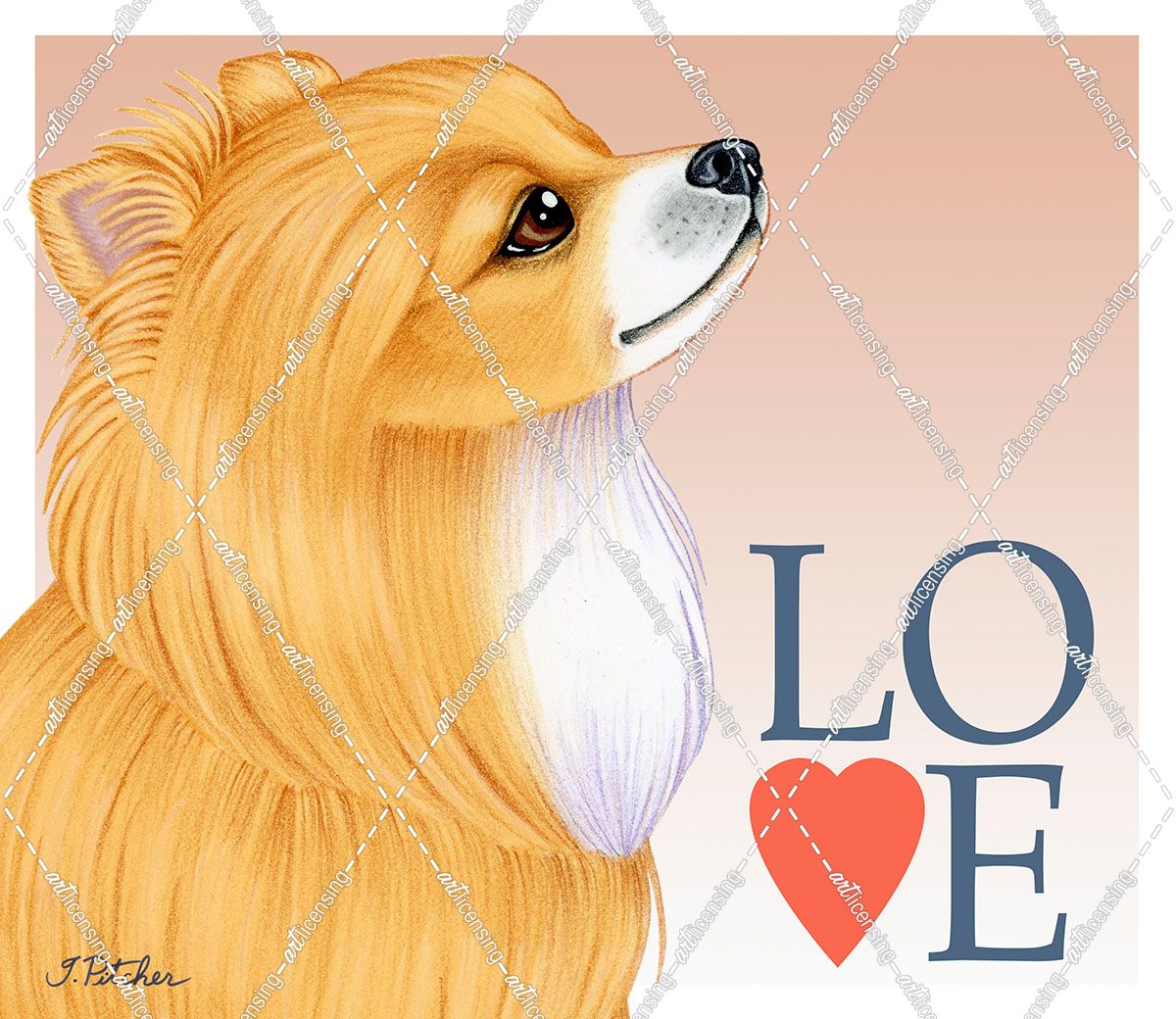 Pomeranian Love