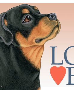 Rottweiler Love