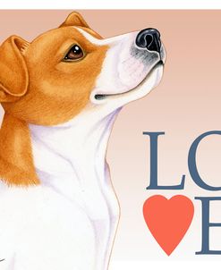 Jack Russell Love