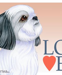 Shih Tzu Love