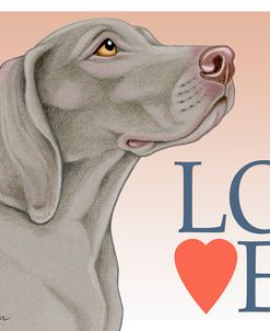 Weimaraner Love