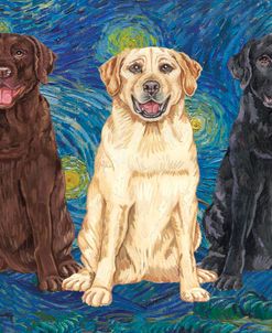 Labs Starry Night