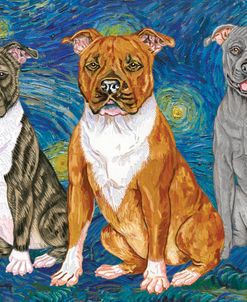 Pitbulls Starry Night