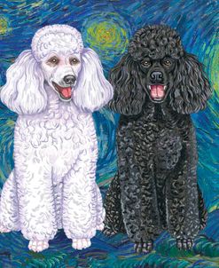 Poodles Starry Night