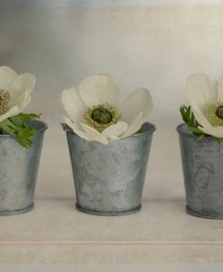 3 White Anemonies in Metal Vases