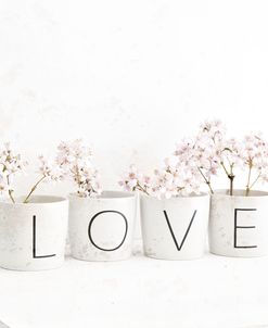 Blossom in Cups saying ‘Love’