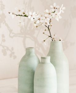Blosson with 3 Vases