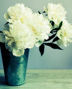 Bunch of White Peonies in Vase