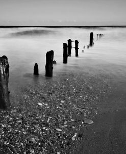 BW Seascape 4