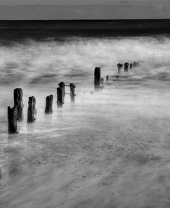 BW Seascape