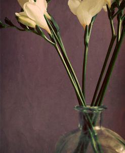 Flowers and Stems in a Bottle on Mauve