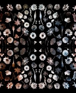 Gorgeous Mirror of Florals on Black