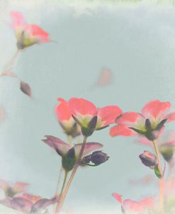Little Pink Flowers on Blue