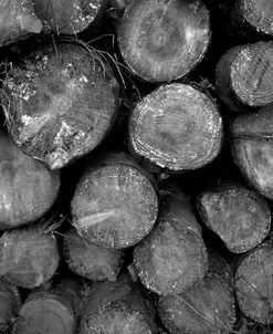 Logs BW