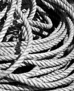 Old Rope BW
