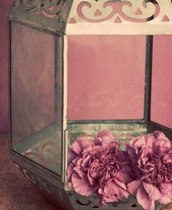 Pink Carnations in a Lantern