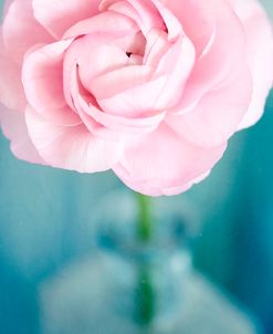 Pink Flower in Blue Bottle