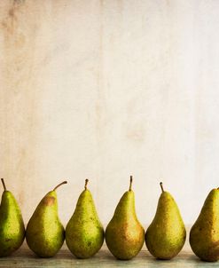 Row Of Antique Pears