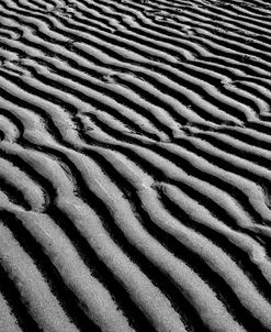 Sandscape 01