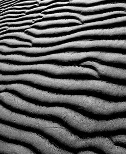 Sandscape 02