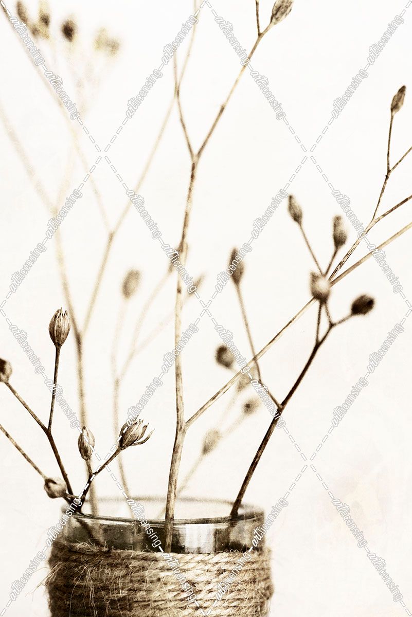 Sepia Dried Flowers 01