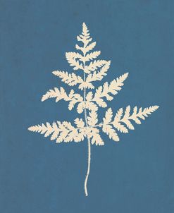 White Leaf on Blue 01