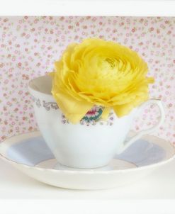 Yellow Flower in Cup and Saucer