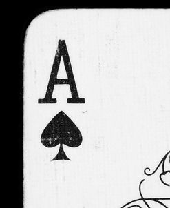 Ace of Spades Close Up