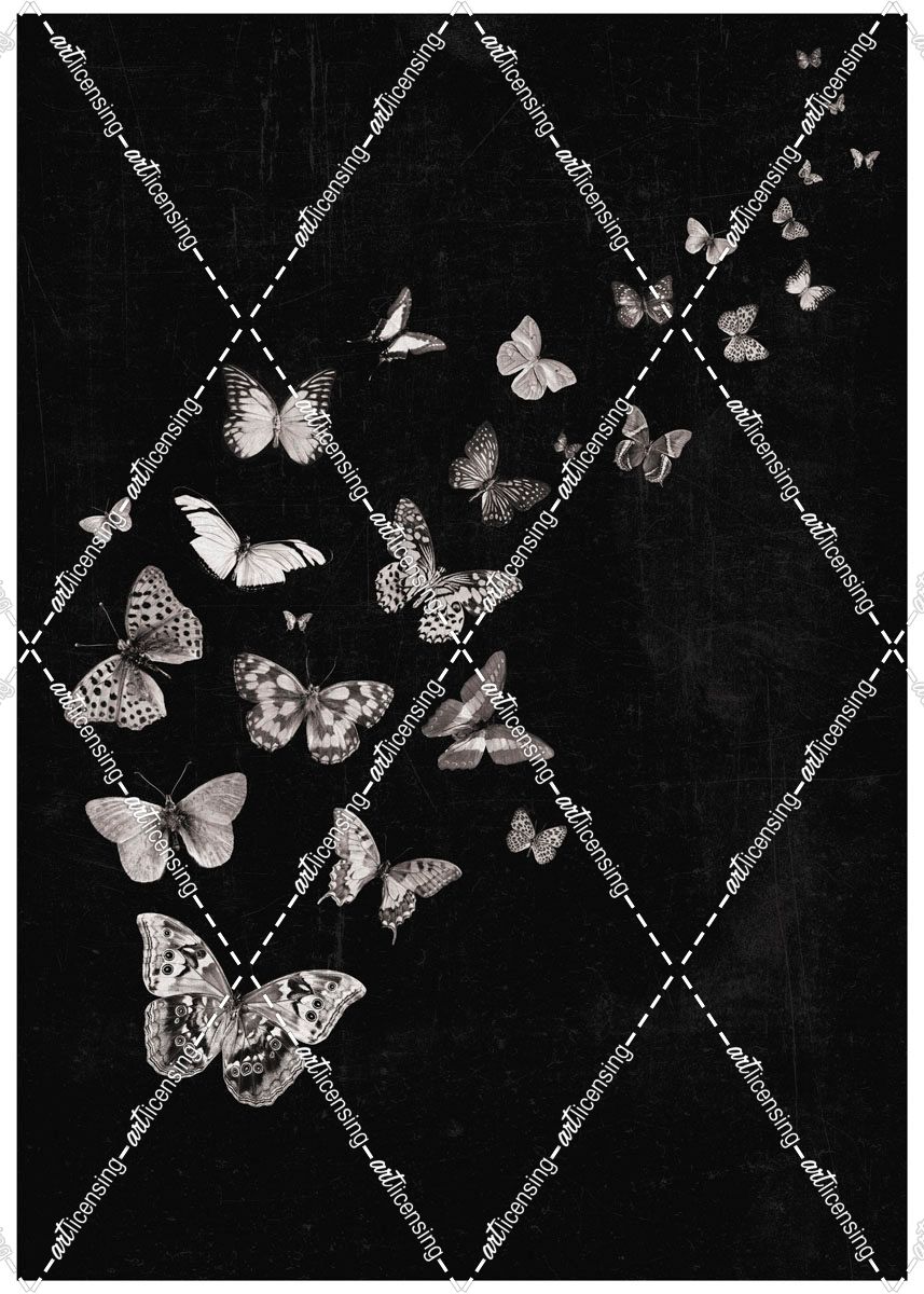 Flying Butterflies Black and White Print