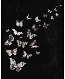 Flying Butterflies Black and White Print