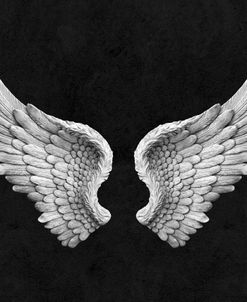 Black and White Angel Wings on Black up