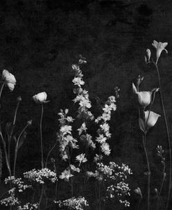 Black and White Botanical Landscape with Texture