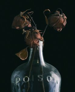 Poison Bottle and Dead Flowers