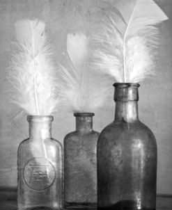 White Feathers in Antique Bottles with Texture