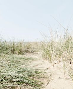 Dunes Path to the Sea