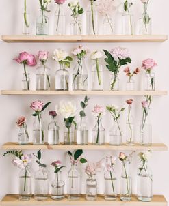 Photographic Collection of Bottles and Flowers with Roses