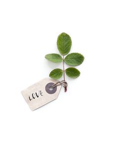 Minimal Green Leaf with a LOVE Tag Attached