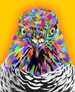 Pigeon