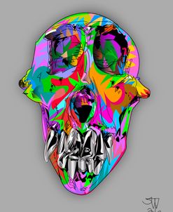 Ancient Animal Skull